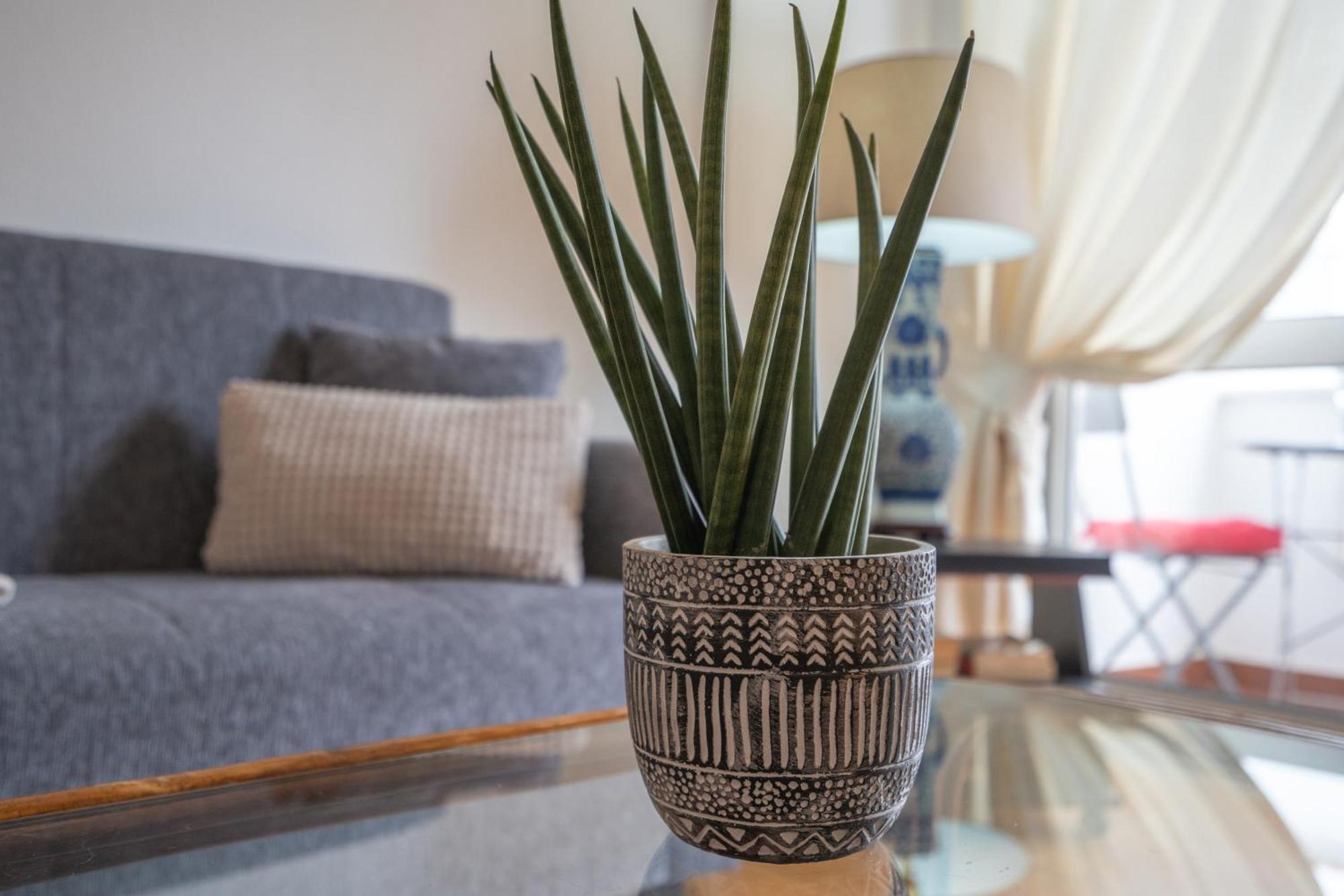 Apartamento Escadinhas Lagos Exteriér fotografie